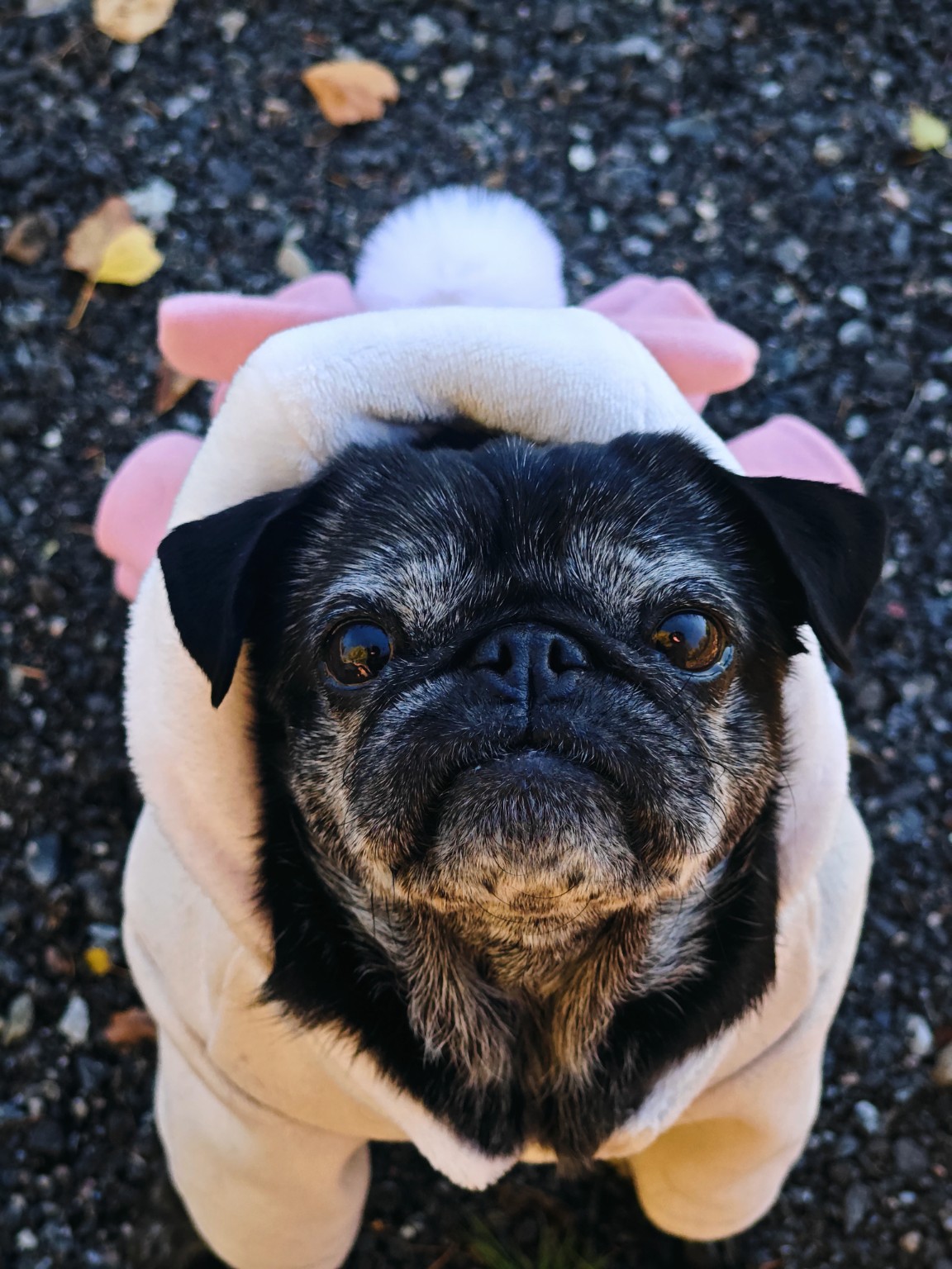 Nina